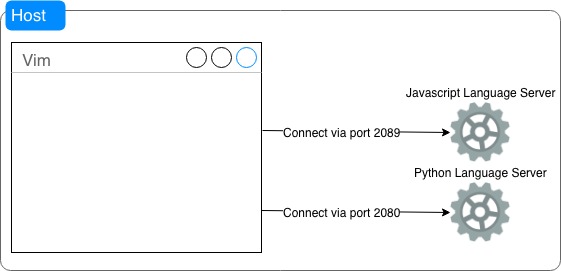 vim lsp connect